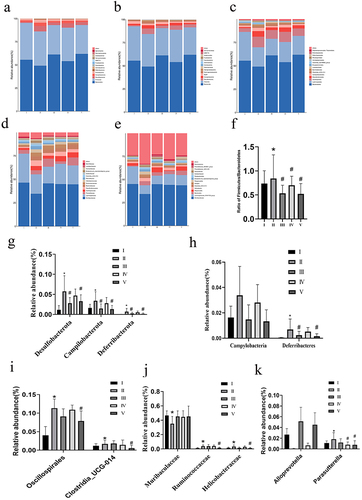 Figure 10 The effect of NC-CS/PT-NPs on gut microbiome composition of mice induced by HFD in different taxa. (a) Phylum. (b) Class. (c) Order. (d) Family. (e) Genus. (f) The ratio of Firmicutes /Bacteroidota. (g) Relative abundance of Phylum. (h) Relative abundance of Class. (i) Relative abundance of Order. (j) Relative abundance of Family. (k) Relative abundance of Genus. Compared with NCD group, *p<0.05; compared with HFD group, #p<0.05.