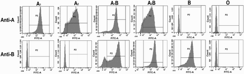 Figure 4 Histograms of RBCs of ABO antigens tested with anti-A or anti-B antibody reagents and FITC-labeled secondary antibodies. The X and Y-axis represent FITC-derived fluorescence and the number of cells, respectively.