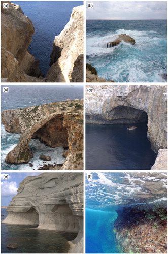 Figure 4. Coastal features: (a) marine gorge at Ras Ir-Raheb; (b) stack at Delimara; (c) arch at the entrance of Blue Grotto; (d) marine cave at Ras Ir-Raheb cut in Lower Coralline Limestones; (e) marine cave at Ras Il-Pellegrin cut in Globigerina Limestones; (f) present day tidal notch at Dingli Cliff.