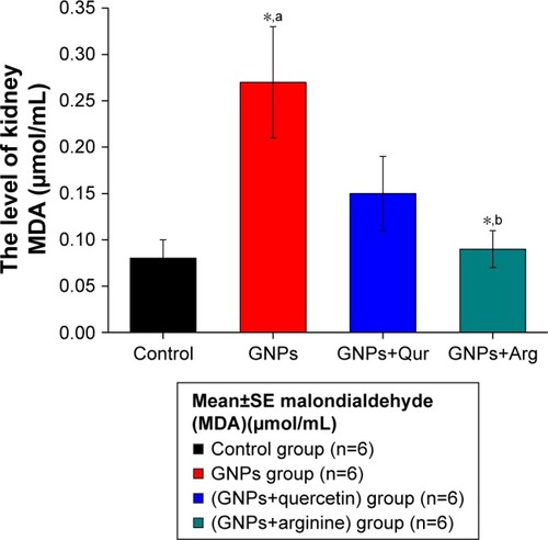 Figure 5 Effects of GNPs, GNPs+Qur, and GNPs+Arg on the kidney MDA levels of the rats.Notes: aCompared with control group. bCompared with GNPs group. *P<0.05.Abbreviations: Arg, arginine; GNPs, gold nanoparticles; MDA, malondialdehyde; Qur, quercetin; SE, standard error.
