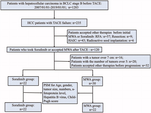 Figure 1. Patient selection flowchart. BCLC: Barcelona Clinic Liver Cancer; TACE: transarterial chemoembolization; MWA: microwave ablation; HAIC: hepatic artery infusion chemotherapy.