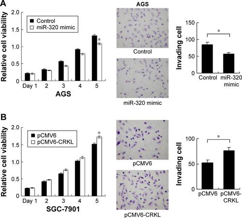 Figure S1 Effect of miR-320 in AGS cell line and role of CRKL in SGC-7901 cell line.Notes: (A) Transfection of miR-320 mimic downregulated AGS cell proliferation rate. miR-320 also decreased AGS invading ability. (B) Transfection of pCMV6-CRKL plasmid upregulated proliferation and invasion ability of SGC-7901 cells (*P<0.05).