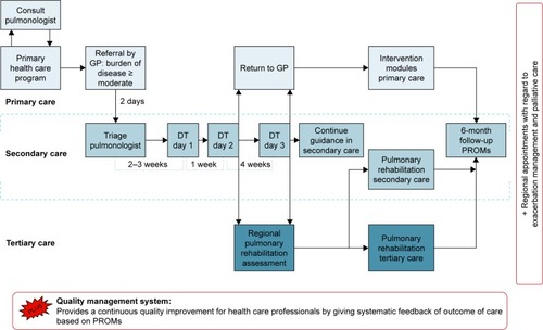 Figure 1 Graphical overview of the COPDnet integrated care model.