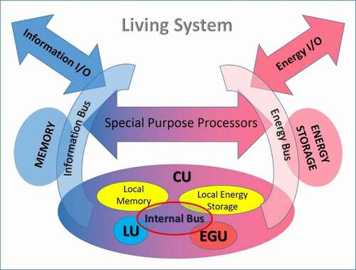 Figure 4. The basic structure of a living system