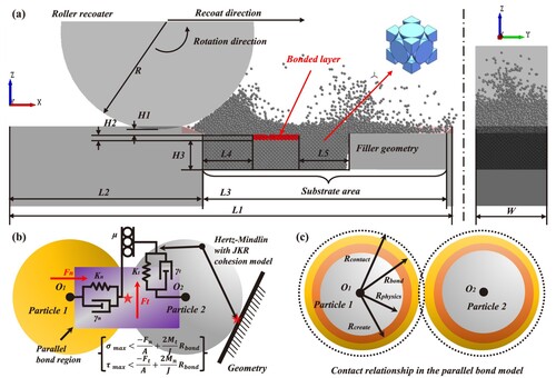 Figure 3. DEM setup of powder spreading in real-time curing BJAM: (a) DEM environment; (b) contact constitutive model; (c) radii compatibility relationship in PBM. Parameters W (1.5 mm), L1 (9.15 mm),L2 (4 mm), L3 (5 mm), L4 (1 mm), and L5 (1 mm) are the depth and length of the computational domain, a distance from the powder bed to the left, a recoating length, two distances from the bonded layer to the left and right of the powder bed, respectively; H1, H, and H3 (0.75 mm) are a gap height, a layer thickness, and a distance from the upper surface of the bonded layer to the substrate, respectively; and R (2 mm) is the radius of the roller recoating along the X-axis and rotating in a counterclockwise direction in a local coordinate system.