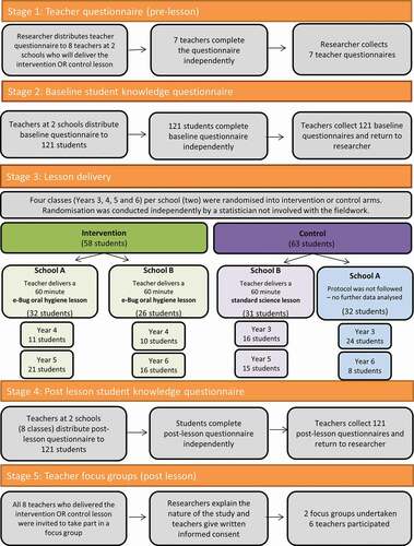 Figure 1. Data collection process.