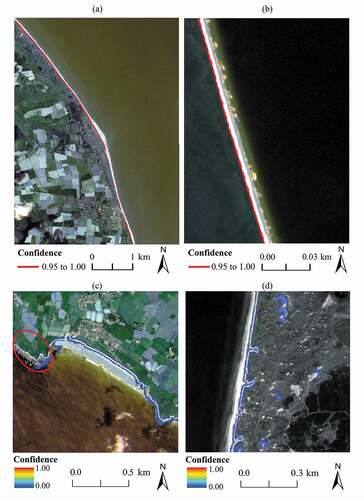 Figure 9. VEdge_Detector outputs for (a) Winterton, Suffolk, UK (b) A stretch of Bribie Island, Australia, separate to the locations used for training outlined in the supplemental material, and (c) Perranuthnoe, Cornwall, UK. The red oval indicates the rocky cliff section where the VEdge_Detector failed to detect cliff top vegetation, (d) Wilk-Ann-zee, Netherlands. (a) and (b) display the predicted vegetation line in red with a confidence ≥0.95. (c) and (d) show examples of all VEdge_Detector outputs prior to applying any confidence thresholding. The white line in (c) and (d) shows the location of the manually digitized line.