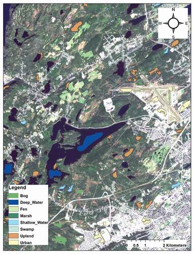 Figure 3. Examples of ground truth data in the Avalon pilot site (several samples of wetland and non-wetland polygons are used as the ground truth data)