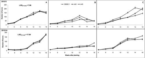 Figure 6. Number of leaves of sweet potato cultivars grown in different locations (A: Deepdale, B: Richards Bay and C: Umbumbulu) of KwaZulu-Natal. Different lines on graph represent different cultivars, that is A40, A45 and 199062.1.