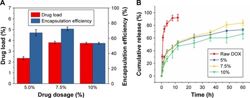 Figure 5 DOX loading and its release characteristics from PMs.Notes: (A) DOX drug load and encapsulation efficiencies of NEPMs at various theoretical loading amounts; (B) cumulative DOX release characteristics of NEPMs in PBS (pH 7.4).Abbreviations: DOX, doxorubicin hydrochloride; NEPMs, nano-embedded porous microparticles; PM, porous microparticle; PBS, phosphate-buffered saline.