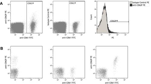 Figure 1 Representative flow cytometry plots of activated platelets in pre-donation whole blood samples. (A) Whole blood samples were incubated with anti-CD61 and anti-CD62P (left) or isotype control (middle), washed and analyzed by flow cytometry. Histogram overlay of CD61-positive events is shown to the right. (B) Flow cytometry dot plots showing whole blood samples stimulated with ADP.