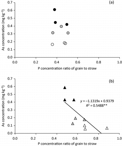 Figure 3. Relationships between the P concentration ratio of grain to straw and the As concentration in grain in the solution culture experiment conducted with different application periods of As and different levels of P in culture solution. (a) standard P concentration, (b) half of the standard P concentration. *p < 0.01. Open symbols: As amendment before heading. Gray-filled symbols: As amendment after heading. Black-filled symbols: As amendment for the entire growth period.