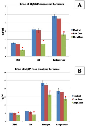 Figure 2. Effect of MgO NPs on A) Serum FSH, LH and testosterone in different groups in male rats. B) Serum FSH, LH, estrogen and progesterone in different groups in female rats. Values were expressed as means ± SD.