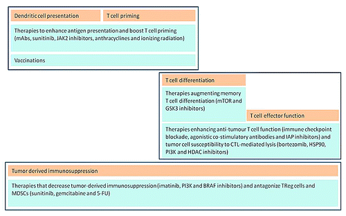 Figure 3. Sequential use of specific targeted therapies in order to capture a synergy with key stages of antitumor immune response (adapted with permission from Vanneman and DranoffCitation30).