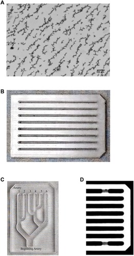 Figure 1 (A) Photomicrograph of linear structures of MNPs formed without exposure to a magnet. (B) Photograph of the original MIRT tray, with straight lanes allowing for direct comparison of different experimental conditions such as MNP concentration, fluid composition, and cellular lining of the lanes. (C) Photograph of a representative MIRT tray with branched lanes (rotated and at reduced magnification), which allows for the study of MNP distribution along various tributaries. (D) Computerized tomography image of a portion of the straight lane MIRT tray.