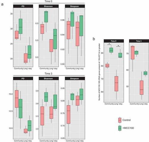 Figure 3. (a) Alpha-diversity indexes of control (red) and MCC100 supplemented (green) fermentations for community and long-stay microbiota types at time 0 and time 3. (b) Presence of MCC100 species across fermentation samples. BLAST results of the MCC100 16S rRNA gene full-length sequences against the V3/V4 16S rRNA gene reads of the fecal samples were filtered at 98.7% identity and 90% coverage. MCC100 taxa with one hit or greater were considered as present in the sample. Statistically significant differences were determined using Mann-Whitney test (one-tailed) (∙ exact p-value = 0.05)