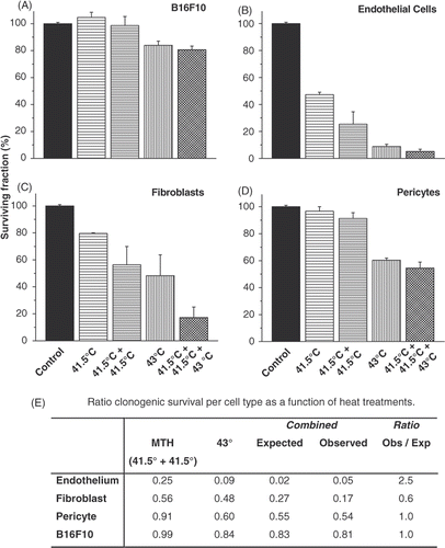 Figure 5. Clonogenic potential of parenchymal and stromal cells after different hyperthermia schedules. Survival of B16F10 (A), HUVEC (B), fibroblasts (C), and 10T½ pericyte cells (D), after different hyperthermia treatments as indicated. Acquisition of thermotolerance (E). Treatment schedules were as follows: (1) mild temperature hyperthermia (MTH), where the flasks were heated at 41.5°C for 60 min two consecutive days in a row, day 1 and 2; (2) a single treatment of 43°C for 60 min on the third day of heat treatments; (3) pretreatment of MTH followed by treatment with 43°C for 60 min on day 3. Thermal tolerance was determined by the following formula Citation[21]: the observed fraction of colony formation after MTH pretreatment/the expected fraction of colony formation (i.e. fraction of colonies after MTH × fraction of colonies after 43°C for 60 min). A ratio >1 indicates induced thermal tolerance by MTH pretreatment, whereas a ratio of <1 indicates an induction of thermal sensitisation by MTH pretreatment.