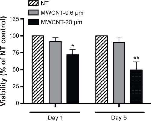 Figure 2 Viability of AMs.Notes: Viability of AMs, 1 and 5 days after a 24-hour treatment with MWCNT-0.6 μm or MWCNT-20 μm, as determined by the MTS assay. Cell viability data are presented as a percentage of the NT control (n=5) ±SEM; significant differences between nontreated and treated AMs are indicated, where *P<0.05 and **P<0.01.Abbreviations: NT, nontreated; MWCNTs, multiwalled carbon nanotubes; AMs, alveolar macrophages; SEM, standard error of mean; MTS, 3-(4,5-dimethylthiazol-2-yl)-5-(3-carboxymethoxyphenyl)-2-(4-sulfophenyl)-2H-tetrazolium.