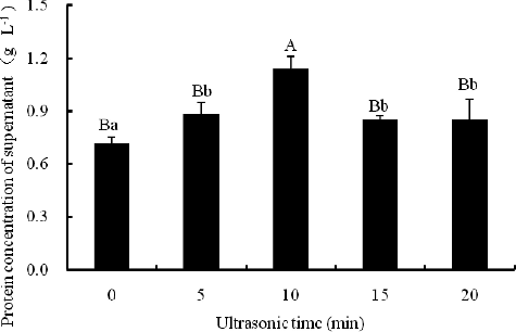 Figure 5. Effect of ultrasonication time on protein concentration in the extracts at 400 W and 50% isopropanol. Note: Different capital letters indicate significant differences at p < 0.01 and different lowercase letters indicate significant differences at p < 0.05.