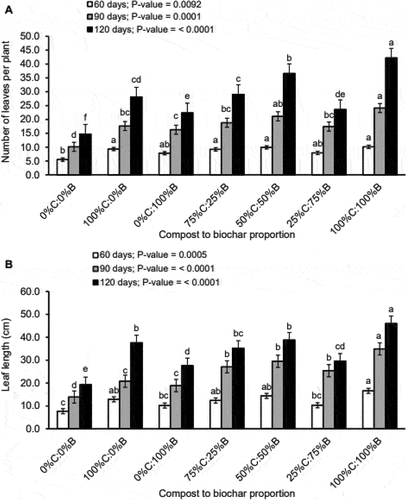 Figure 2. Means of number of leaves per plant (A) and leaf length (B) of Desho grass after 60, 90 and 120 days of growing for the different proportions of the combined application of compost (C) and biochar (B). Error bars indicate standard errors of the means. Different letters above the histograms of each growing period indicate significant differences among means, using Tukey’s test, at p < 0.05.