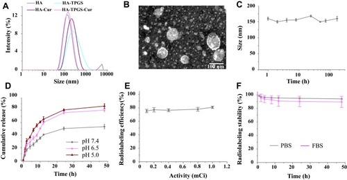 Figure 3 Characterization of nanoparticles: (A) Size and distribution as determined by DLS. (B) Morphology of HA-CHEMS-Cur-TPGS NPs as measured by TEM. (C) Colloidal stability at a concentration of 1 mg/mL in PBS. (D) Release of curcumin at a pH of 5.0, 6.5, and 7.4. (E) The correlation between the radiolabeling efficiency and added activity of 99mTc. (F) The radiostability of 99mTc-HA-CHEMS-Cur-TPGS NPs in the PBS and 10% FBS at 37 °C (n=3).