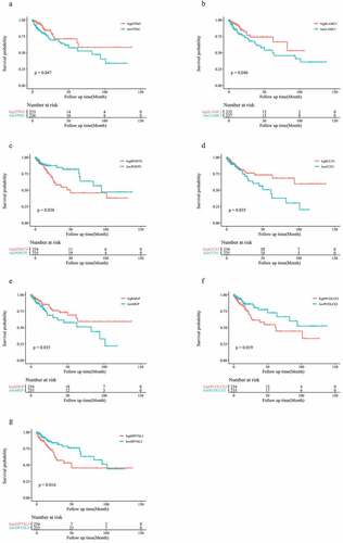 Figure 6. Seven genes are associated with prognosis in the GSE17536 cohort (a-g)