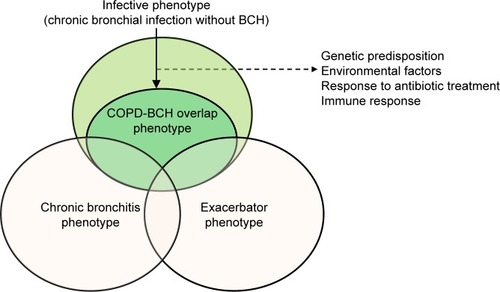 Figure 3 Relationship between COPD-bronchiectasis overlap phenotype and infective and chronic bronchitis and exacerbator phenotypes.