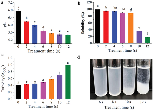 Figure 2. Changes in the physicochemical parameters of MP from Siniperca chuatsitr untreated and treated with APPJ. (a) pH, (b) Tolubility, (c) Turbidity, (d) MP sample treated by APPJ for 6–12 s. The results are expressed as X‾±σ n=3 ,with various letters on the top of the bar chart indicating significant differences (P < .05).