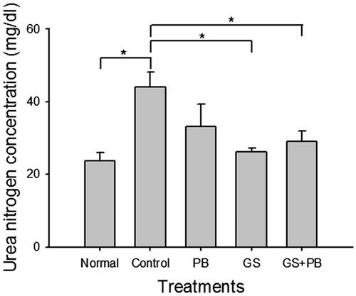Figure 5. Effects of orally administered probiotic-fermented red ginseng on levels of blood urea nitrogen (BUN) at the 8th week after diabetes induction. Blood was drawn from normal untreated mice (Normal), STZ-induced diabetic mice (Control), STZ-induced diabetic mice treated with probiotics only (PB), STZ-induced diabetic mice treated with red ginseng (GS), and STZ-induced diabetic group of mice treated with probiotic-fermented red ginseng (GS + PB); levels of BUN were determined as described in the “Materials and methods” section. Data are presented as means ± SD (n = 4). *p < 0.05 indicates significant differences.