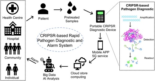 Figure 3. Pathogen diagnostic and alarm with CRISPR/Cas-based cloud detection. Schematic diagram of an early alarm of infection risk system based on CRISPR-Cas rapid diagnostic and artificial intelligence (AI) powered predication. Individual patient from the community, hospital or health centre, can be rapidly and accurately detected with the specific infectious pathogen. The readout data will be transformed into the cloud for store and process through the 5G service of a mobile phone app. The cloud computing will calculate the infectious risk to generate an AI-powered model on update diagnostic cases, then warn the administrators or individuals.