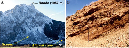 Figure 6. (A) Northern side of Bodón Massif next to Lugueros village with numerous scree and avalanche deposits and snow corridors. (B) Stratified debris flow deposits in the Valdeteja Gorge, east to Valdeteja village (bar length: 2 m).