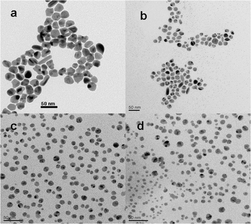 Figure 4. TEM images of silver nanoparticles synthesised by various gold seeds addition. (a) 0.25 mL, (b) 0.5 mL, (c) 1.0 mL and (d) 2.0 mL.