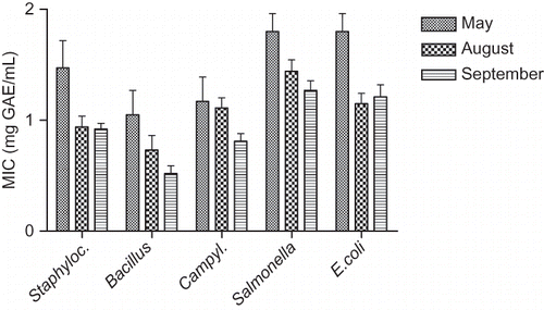 Figure 3 Comparison of the in vitro antimicrobial activity of phenolic extracts from Vitis vinifera L. leaves collected during three phenophases, against gram-positive (Staphylococcus aureus, Bacillus cereus) and gram-negative (Campylobacter jejuni, Escherichia coli O157:H7, Salmonella) bacteria. The results are mean ±SD for LEs of six grape varieties.