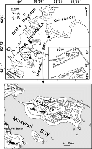 FIGURE 1. Studied area and sampling sites for the cores Y4, N1, and Y2. In the top panel, marker A shows lakes, marker B shows network of meltwater channels. In the bottom panel, the contour interval is 10 m