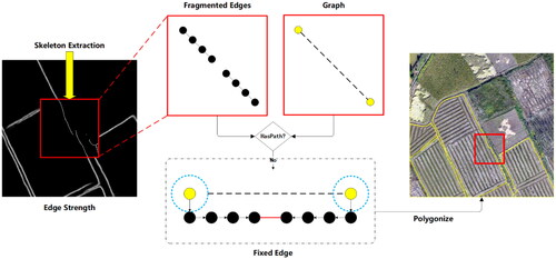 Figure 4. Specific implementation process for edge fusion involves converting the refined edges into a graph, and locating the shortest path between the start and end points. If the path is not found, new edges are added to the graph. Black circles refer to vertices; yellow circles refer to start and end points. Blue dot lines refer to the searching range default to 15 pixels (changing with the crop category) and the red line refers to the fixed edge.