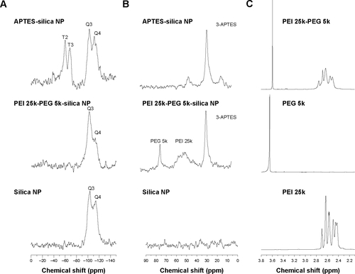 Figure S1 Solid-state NMR analysis of 400 MHz 29Si, 13C CP MAS NMR spectrum. 29Si CP MAS NMR spectrum and 600 MHz 1H-NMR spectrum.Notes: 29Si CP MAS NMR spectrum of aminopropyl functionalized silica nanoparticles and PEI 25-PEG 5k graft silica nanoparticles as well as silica nanoparticles (A), 13C CP MAS NMR spectrum of aminopropyl functionalized silica nanoparticles and PEI 25-PEG 5k graft silica nanoparticles as well as silica nanoparticles (B), 600 MHz 1H-NMR NMR spectrum of PEI 25k, PEG5k as well as PEI 25k-PEG 5k copolymer (C).Abbreviations: APTES, (3-aminopropyl)triethoxysilane; NP, nanoparticle; PEG, poly(ethylene glycol); PEI, polyethylenimine; ppm, parts per million, NMR, nuclear magnetic resonance.