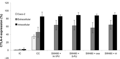 Figure 4 Intra- and extracellular expression of CTLA-4.