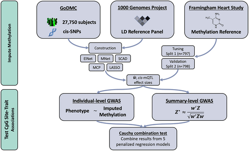 Figure 1. MIMOSA Workflow. MIMOSA evaluates CpG site-trait associations by: 1st) training methylome prediction models; 2nd) testing associations between predicted methylation levels and phenotype. Here, ‘cis-SNPs’ refers to single nucleotide polymorphisms within 1 Mb of a particular CpG site, and ‘LD Reference Panel’ refers to the linkage disequilibrium reference panel from the 1000 Genomes Project.