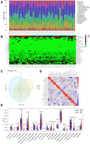 Figure 6 Immune infiltration analyses for AF. The proportion (A) and heatmap (B) of 22 immune cells detected by CIBERSORT algorithm. (C) The principal component analysis for immune cell in AF and SR tissues. (D) Correlation heat map for immune cells. (E) The violin plot of immune cells.