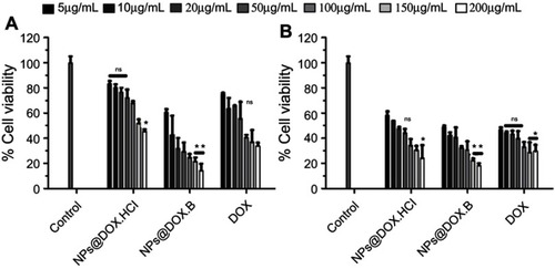 Figure 9 Cell growth inhibitory effects of the DOX solution, DOX.HCl loaded LPHNPs and DOX base loaded LPHNPs measured after 24 hours (A) and 48 hours (B) incubation along MDA-MB-231 cells. The activity was determined by CellTiter Glo viability assay. Results are presented with error bar, indicating mean±SD (n=3). *Significant where P>0.05, **significant where P>0.01.Abbreviations: DOX, doxorubicin; DOX-HCl, doxorubicin hydrochloride; LPHNPs, lipid polymer hybrid nanoparticles; ns, non-significance.