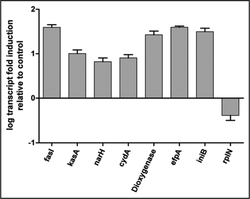 Figure 2 qRT-PCR analysis of selected genes with PA-824 treatment. Early mid-log phase cells treated with PA-824 2 µg/ml for 2 hrs prior to RNA extraction and qRT-PCR performed by Taqman analysis as described.Citation10 Expression levels of genes normalized to levels of the sigA mRNA.