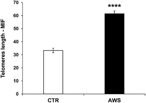 Figure 6. Effect of AWS on length of telomeres in ovarian germ cells from C57BL/6J female mice. The analysis of telomeres length mouse was performed on ovarian germ cells from both CTR and AWS groups immediately after the sacrifice, by using a fluorescein-conjugated peptide nucleic acid (PNA) probe kit. Results are obtained by flow cytometry with excitation at 488 nm. Data are expressed as mean ± SE of mean intensity fluorescence (M.I.F.) normalised on total cells. ****p < 0.001.