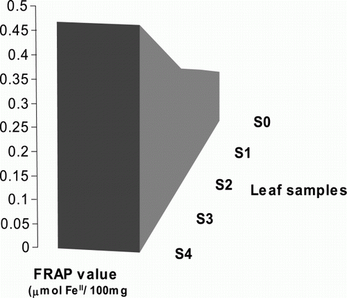 Figure 6.  Assessment of the total antioxidant capacity. The total antioxidant abilities of the differentially indexed leaf samples (S0–S4) were assessed using FRAP method by measuring the absorbance of the test samples at A593. All data were presented as the mean values of two replicates±SD.