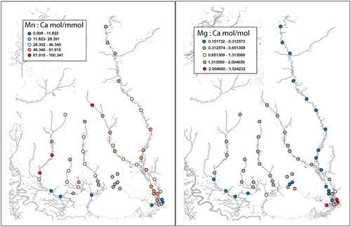 Figure 4. Mn/Ca (left panel) and Mg/Ca (right panel) maps of the Pearl River and Lake Pontchartrain Watershed areas.