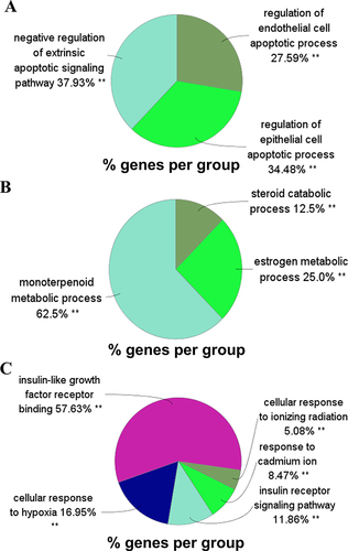 Figure 5 GO enrichment analysis of the top 3 clusters. (A–C) were the GO terms of clusters 1, 2, and 3 generated by the Cytoscape plug-in ClueGO respectively. The pie chart presented the proportion of each GO terms group. GO, gene ontology. **p < 0.05.