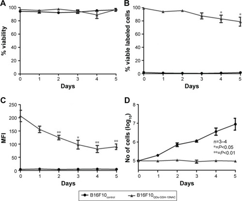 Figure 4 Effects of QDs-GSH labeling on B16F10 cell proliferation and QDs-GSH signal persistence.Notes: (A) B16F10QDs-GSH-10NAC and control cell viability. (B) Percentage of viable B16F10QDs-GSH-10NAC cells. (C) MFI of viable B16F10QDs-GSH-10NAC cells. (D) Total number of B16F10QDs-GSH-10NAC cells. Results were obtained over a 5-day period after labeling and averaged from 3 to 6 independent experiments (n=3–6). Data were analyzed using the nonparametric Mann–Whitney test. Statistically significant differences compared with the controls and different treatments are indicated.Abbreviations: B16F10QDs-GSH-10NAC, B16F10 cells labeled with rQDs-GSH in presence of 10 mM of NAC; GSH, glutathione; MFI, mean fluorescence intensity; NAC, N-acetylcysteine; QDs, quantum dots; rQDs-GSH, red QDs-GSH.