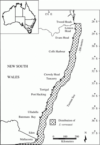 Figure 1.  The distribution of Sagmariasus verreauxi off the coast of New South Wales (main map) and Australia (insert).