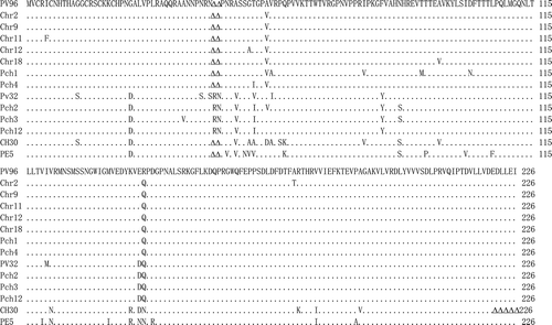 Fig. 3. A pair-wise alignment of coat protein sequences of 10 most divergent isolates from this study and representative isolates from four phylogenetic groups. The same and deleted amino acids are indicated as · and Δ, respectively.