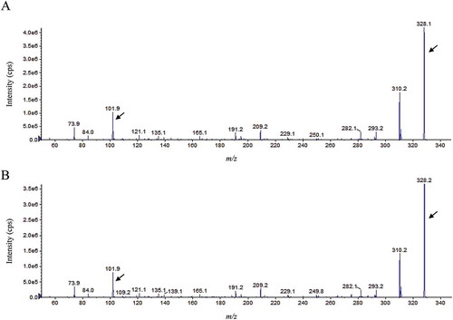 Figure 1. ESI-MS/MS analysis of 3OHC14-HSL extracted from the cell-free supernatant of a M. populi P-1M culture (a) and the synthetic standard (b). All corresponding MS/MS fragment peaks for 3OHC14-HSL (m/z 328) along with the product ion peaks (m/z 102) are marked with arrows.