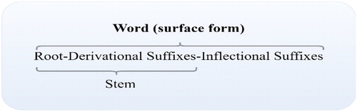 Figure 1. Morphological structure of a Turkish word.